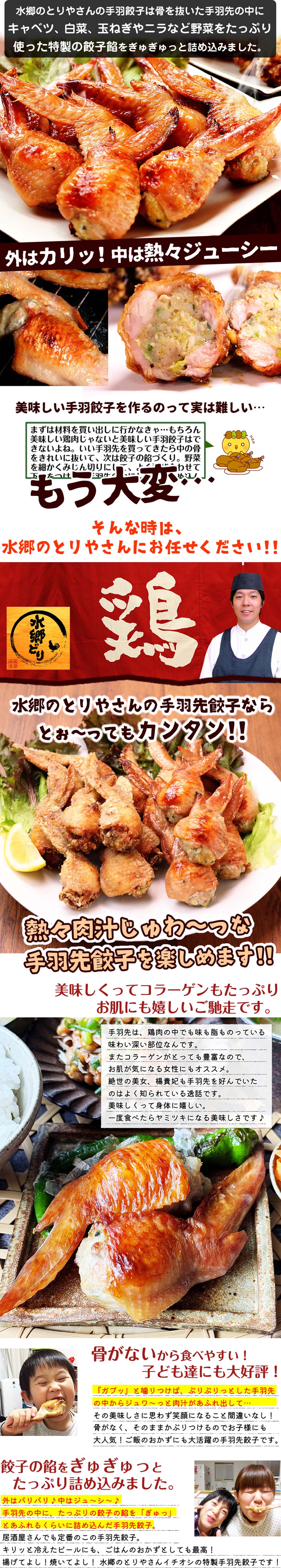 手羽先餃子5本（生）